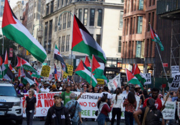 Pro-Palestine Progressives Before Peace Deal: "Peace!" After: Crickets